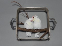 love-birds-square