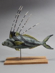 rooster-fish